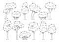 Trees shrub doodle cartoon set abstract linear evergreen stylized plant botanical collection bush