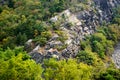 Trees and shrubs growing out of crevices in the sedimentary rock on Mt. Minsi, Pennsylvania