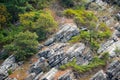 Trees and shrubs growing out of crevices in the sedimentary rock on Mt. Minsi, Pennsylvania