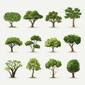 trees shrubs set vector flat minimalistic isolated illustration