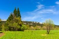 Trees and shrubs surrounding the trail against a spring blue sky