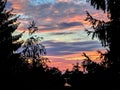 Trees silhouette in the colorful sky during sunset Royalty Free Stock Photo
