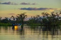 Trees silhouetted against an orange sky at sunset over Laguna Grande in the Cuyabeno Wildlife Reserve National Park, in