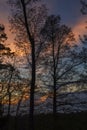 Trees Silhouetted, Sunset Royalty Free Stock Photo