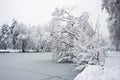 Trees silhouettes covered by the snow in border frozen river during a snowy day Royalty Free Stock Photo