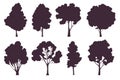 Trees silhouettes. Forest and park trees, pine, oak