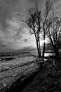 Trees silhouettes on a a lake