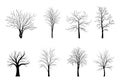 Trees silhouettes set isolated on white background.. Vector illustration Royalty Free Stock Photo