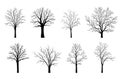 Trees silhouettes set isolated on white background.. Vector illustration Royalty Free Stock Photo