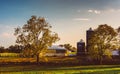 Trees and silos on a farm in rural Adams County, Pennsylvania. Royalty Free Stock Photo