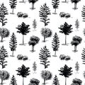 Trees, sketch pattern. Hand painted black trees on white background. Seamless wallpaper