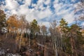 Trees slope mountains snow fall Royalty Free Stock Photo