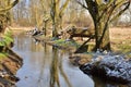 Trees by a small stream among the green spring fields on a sunny day Royalty Free Stock Photo