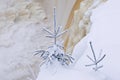 Trees in Snow Royalty Free Stock Photo