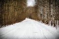 Trees in snow around road in winter forest Royalty Free Stock Photo