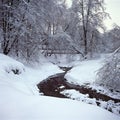 Trees in snow, Kolomenskoe, Moscow, Russia