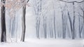 Trees in snow landscape background. Beautiful winter forest. Hello Winter concept Royalty Free Stock Photo