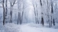 Trees in snow landscape background. Beautiful winter forest. Hello Winter concept Royalty Free Stock Photo