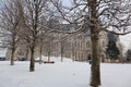 Trees in the snow at the Palace of Culture in the city of Iasi, Romania