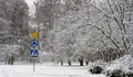 Trees in the Snow. A road sign on a pole near a snow-covered asphalt road. Royalty Free Stock Photo