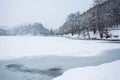 Trees in the snow. Winter landscape. Europe. Frozen lake Royalty Free Stock Photo