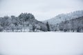 Trees in the snow. Winter landscape. Europe. Frozen lake Royalty Free Stock Photo