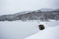 Trees in the snow. Winter landscape. Europe. Frozen lake Royalty Free Stock Photo