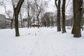 Trees on a Snow in Winter Parc