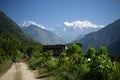 Trees and snowcapped peak at background in the Himalaya mountains, Nepal