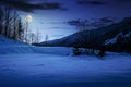 Trees on snowy meadow in mountains at night Royalty Free Stock Photo