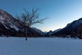 Trees in snowy Ruhpolding after sunset Royalty Free Stock Photo