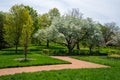 Trees with Spring Blossoms in Garden Royalty Free Stock Photo
