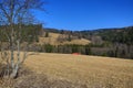 Trees, Spring Landscape, Hartmanice, Bohemian Forest (ÃÂ umava), Czech Republic