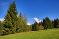 Trees, Spring landscape, PrÃÂ¡ÃÂ¡ily, ÃÂ umava, Czech Republic