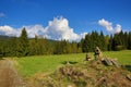 Trees, Spring landscape, PrÃÂ¡ÃÂ¡ily, ÃÂ umava, Czech Republic