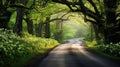 trees springtime country road Royalty Free Stock Photo