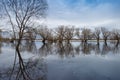 Trees stand in the water in spring in the Vitoslavlitsy Museum of Wooden Architecture in Novgorod city, Russia