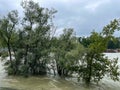 Trees standing in high waters due to floods after long period of rainfalls