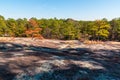 Trees and stone ground in Stone Mountain Park, Georgia, USA Royalty Free Stock Photo