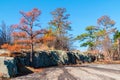 Trees and stone ground in Stone Mountain Park, Georgia, USA Royalty Free Stock Photo