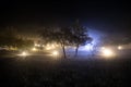 Trees and street lamps on a quiet foggy night. Foggy misty evening lamps in empty road Royalty Free Stock Photo