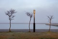 Trees and streetlamp in early fog, Wakura Onsen, Japan Royalty Free Stock Photo