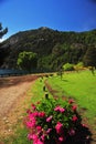 trees in summer and gardens san martin de los andes in neuquen without people and dith road neuquen argentina Royalty Free Stock Photo