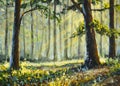 Trees In the sunny forest park acrylic painting landscape Royalty Free Stock Photo