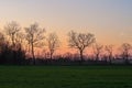Trees sunset panorama landscape nature branches sky clouds detail beautiful feeling