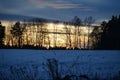 Trees in the sunset , southern Bohemia