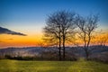 Camino de Santiago - Melide, Spain