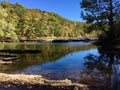 Trees Surround calm creek