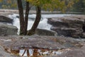 Trees surrounded by the Tygart Valley River at daylight in Valley Falls State Park, West Virginia Royalty Free Stock Photo