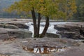 Trees surrounded by the Tygart Valley River at daylight in Valley Falls State Park, West Virginia Royalty Free Stock Photo